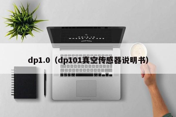 dp1.0（dp101真空传感器说明书）